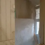 Roberto, Casale Nova Manciano